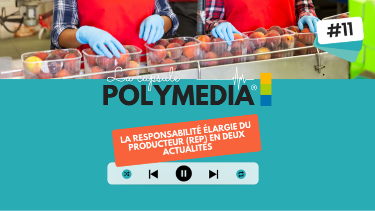 #11. La responsabilité élargie du producteur (REP) en deux actualités
