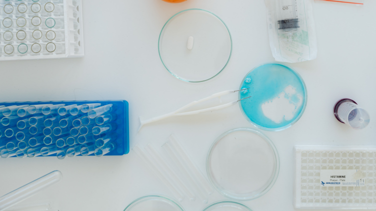 La migration sous contrôle