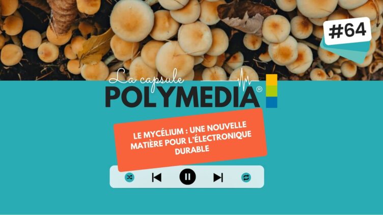 [PODCAST] #64. Le mycélium : une nouvelle matière pour l’électronique durable