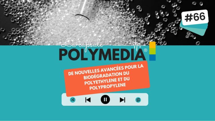 [PODCAST] #66. De nouvelles avancées pour la biodégradation du polyethylene et du polypropylene